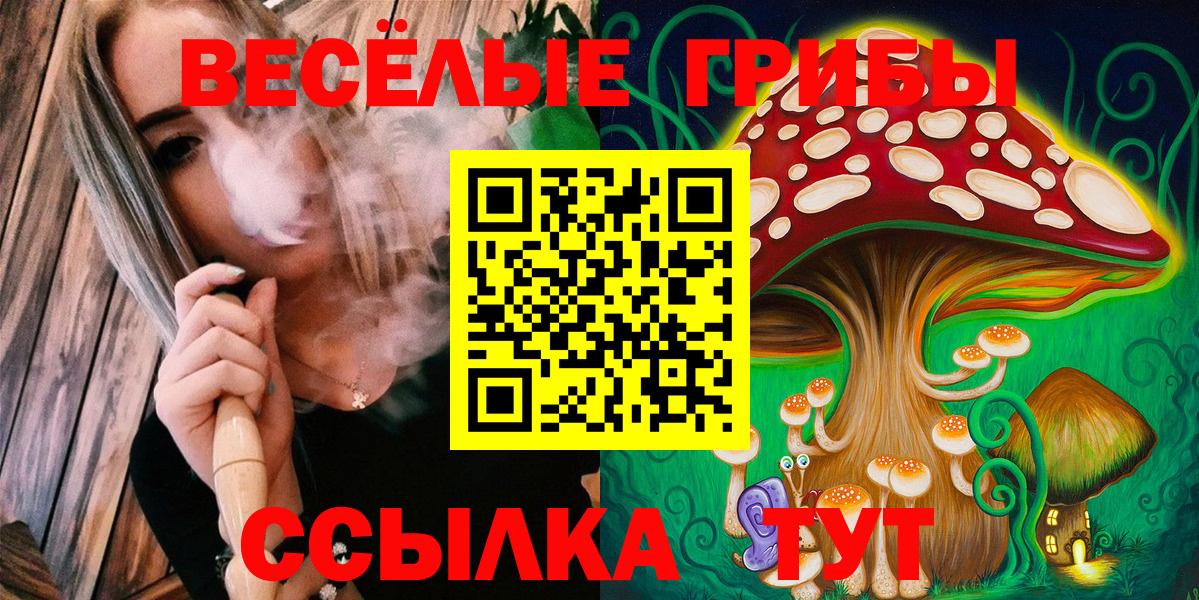 Галлюциногенные грибы Psilocybe  что такое   Королёв  Вход с VPN  Псилоцибиновые грибы мицелий 