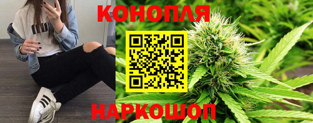 Каннабис планчик Королёв